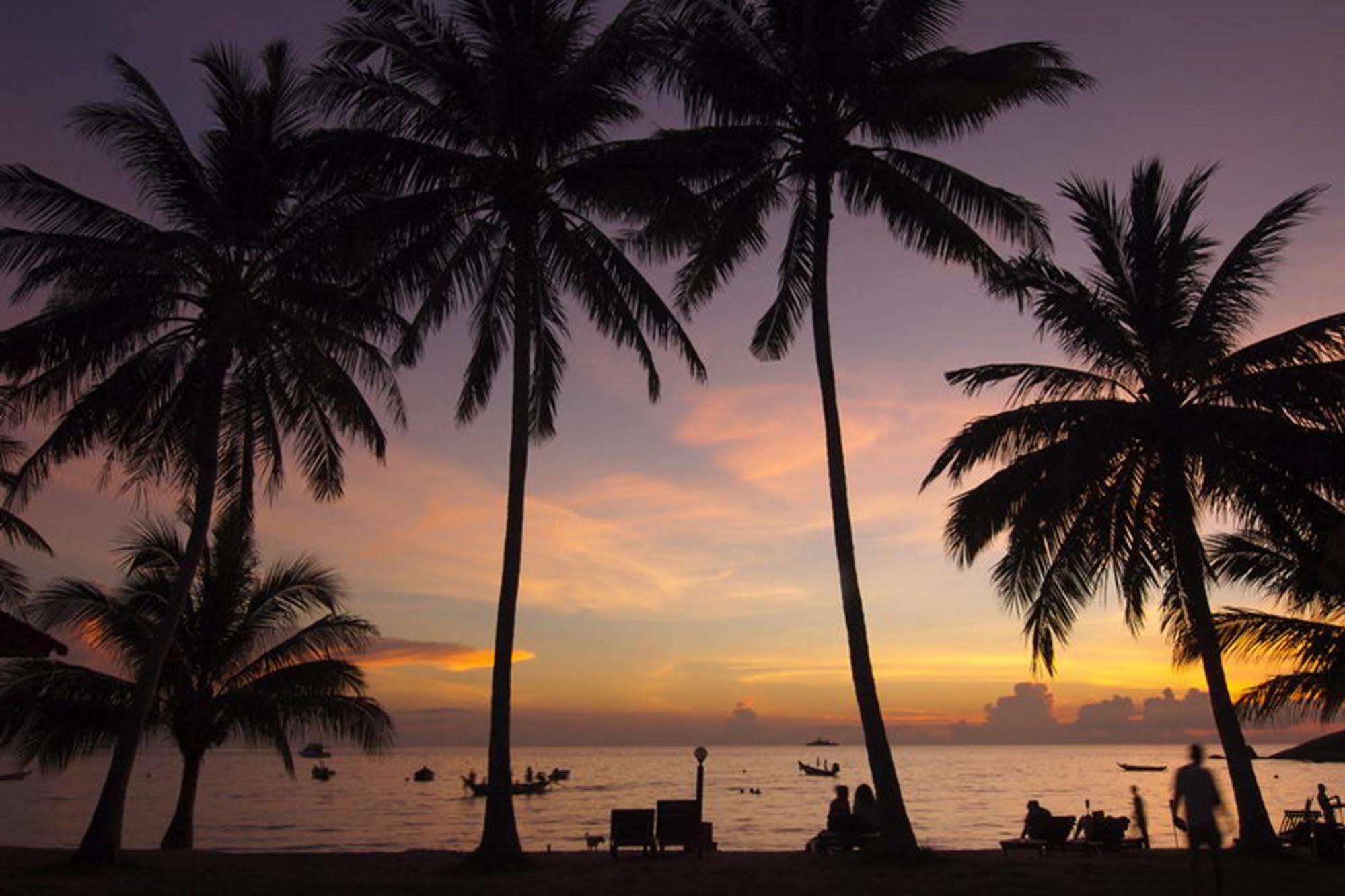 Palm Leaf Resort Ko Tao Exterior foto